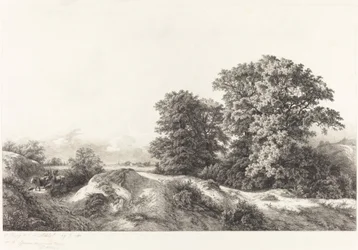 Eichen im Vaux de Cernay