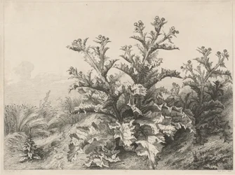 Die große Distel (Le Grand Chardon)