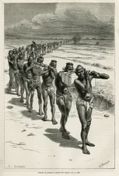 Kolonne von Trägern durch die Reisfelder, zwischen Bassac und Hue, nach einer Zeichnung von Eugene Burnand, zur Illustration der Geschichte über Laos und die wilden Bevölkerungen Indochinas, von Dr. Harmand, 1877, veröffentlicht in der Tour du Monde
