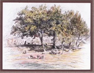 Bruder Juniper schneidet einem Schwein den Fuß ab, um ihn einem kranken Mann zu geben