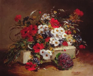 Mohn und Gänseblümchen