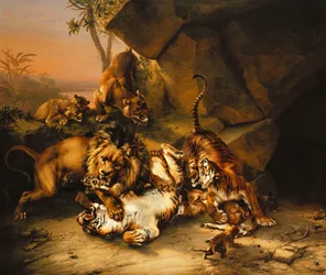 Kampf zwischen Tigern und Löwen