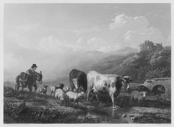 Den Bach überqueren