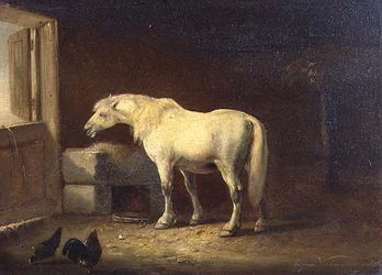 Weißes Pferd im Stall
