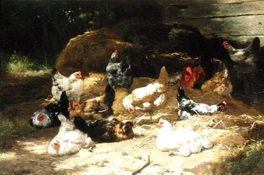 Hühner