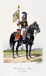 Mousquetaires Noirs, Standartenträger, 1814-15