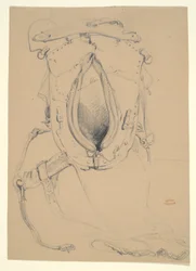 Studie eines Pferdes