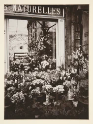 Blumenladen