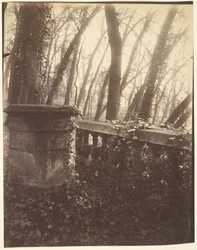 Park von Saint-Cloud, Paris