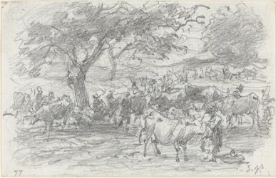 Hirten und Vieh