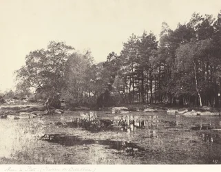 Sumpf bei Piat (Belle-Croix-Plateau)