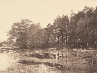 Sumpf bei Piat (Belle-Croix-Plateau)