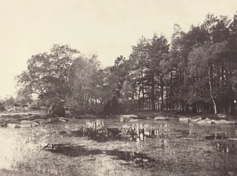 Sumpf am Piat Belle-Croix Plateau