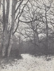 Straße im Wald, 1860-1863