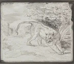 Ein gefangener Tiger