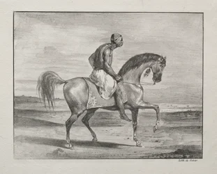 Afrikaner zu Pferd