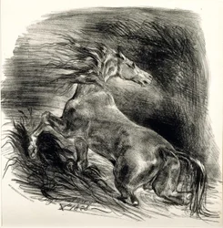 Wildes Pferd