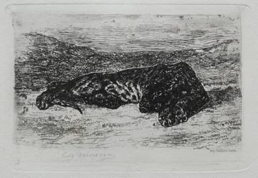 Kauernder Tiger in der Wüste