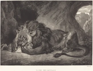 Löwe des Atlasgebirges, 1829
