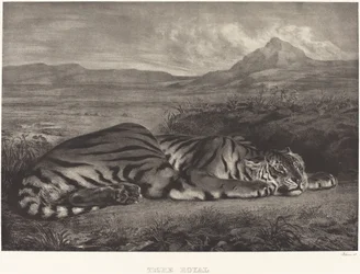 Königstiger