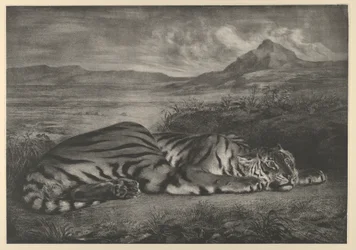 Königlicher Tiger, 1829