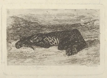 Tiger liegt in der Wüste