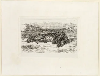 Tiger ruht in der Wüste