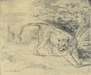 Tiger im Anschlag