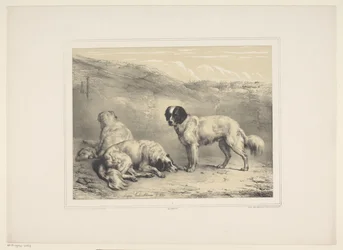 Drei Hunde (Diverse zahme Tiere) (Treize sujets d