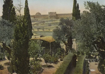 Garten Gethsemane
