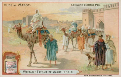 Eine Karawane verlässt Fès