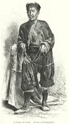 Ein Lama von Lassa (Gravur)