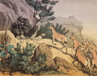 Eine Wüste in Zentralasien