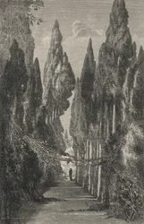Allee des Generalife