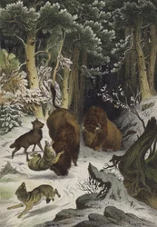 Tiere und Pflanzen des Waldes von Bialowicz, Litauen