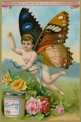 Schmetterlingsengel mit Rosen