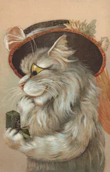 Katze mit Hut, die einen Ring betrachtet