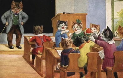 Klassenzimmer der Katzen
