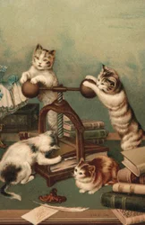 Komische Katzen, die Bücher pressen