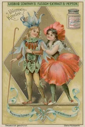 Alpenveilchen und Mohn