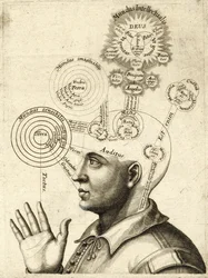 Diagramm des menschlichen Denkens und der vier Sinne, ca. 1650 (Gravur)