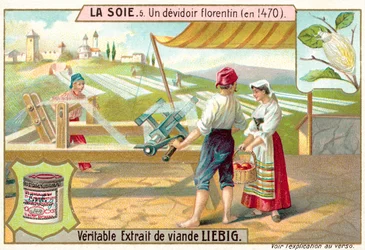 Florentiner Seidenspinner