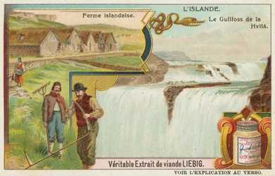 Isländischer Bauernhof und der Gullfoss (Goldener Wasserfall) an der Hvita