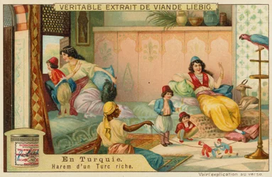 Im Harem eines reichen Türken