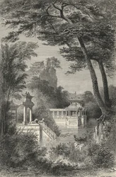 Jardin Chinois Moderne