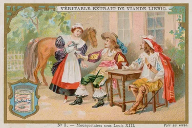 König Ludwig XIII.s Musketiere