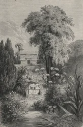 Das Paradies von Quetzalcoatl