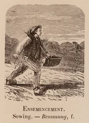 Le Vocabulaire Illustre: Ensemencement; Sowing; Besamung (Stich)