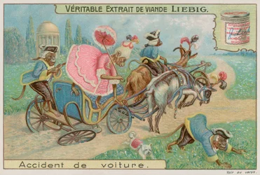 Affen in einer Kutsche