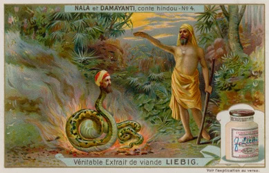 Nala rettet die Schlange Naga Karkotaka